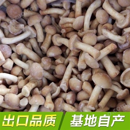 速冻IQF滑子菇混合菇 蘑菇 食用菌 冷冻食品成品供应
