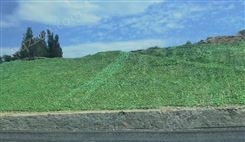 驰阳绿叶网绿叶铁丝网护坡覆盖边坡防护山体绿化网仿真树叶复绿网