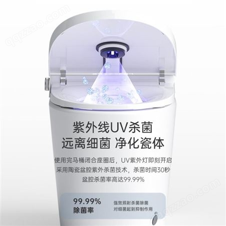 轻智能电动马桶一体式即热式全自动泡泡语音控制带水箱陶瓷坐便器