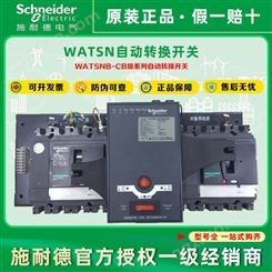 Schneider万高WATSN自动转换开关CB级WATSNB/A-100/3P16A63AR/NSX