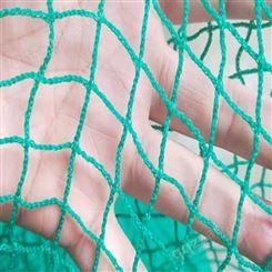 福利 多规格渔网乙烯网片 乙烯网片 供应制造