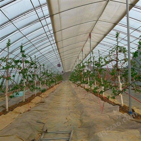 聚丰 种植大棚设计 蔬菜温室大棚种植大棚种类