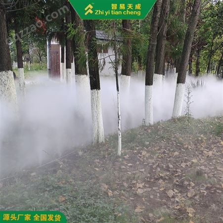 齐齐哈尔景观冷雾机方案设计 房地产售楼处人造雾 智易天成