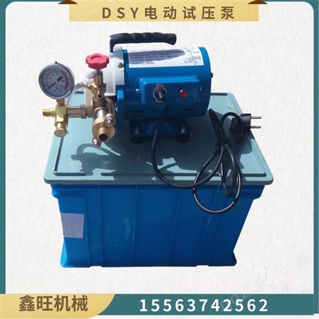 DSY电动试压泵 压力检漏仪 小型不锈钢管道水管测压机