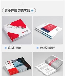 北京画册设计印刷厂 产品手册设计排版公司 彩页手提袋加急印刷
