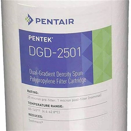 DGD-2501美国PENTAIR（滨特尔）双效过滤精度滤芯