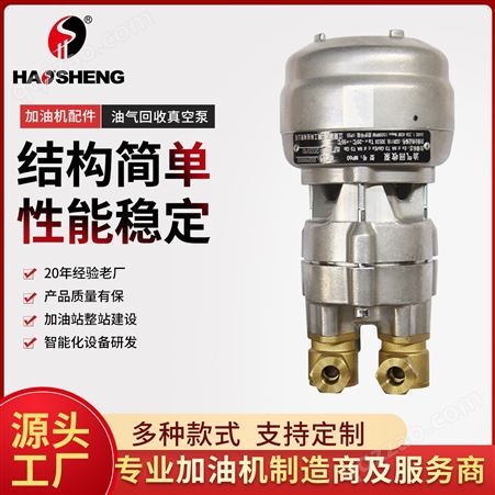豪升配件油气真空回收泵 变频式NP泵 加油机专用油 气过滤回收泵