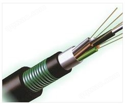 6芯室外光缆铠装层绞式单模光纤GYTA53-6B光缆线双铠双护套