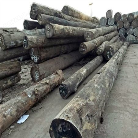 现货大量供应香樟木木材 香樟木原木定尺加工香樟木板材