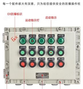 卫隆 远程操作 防爆控制箱 按钮启动 非标定制
